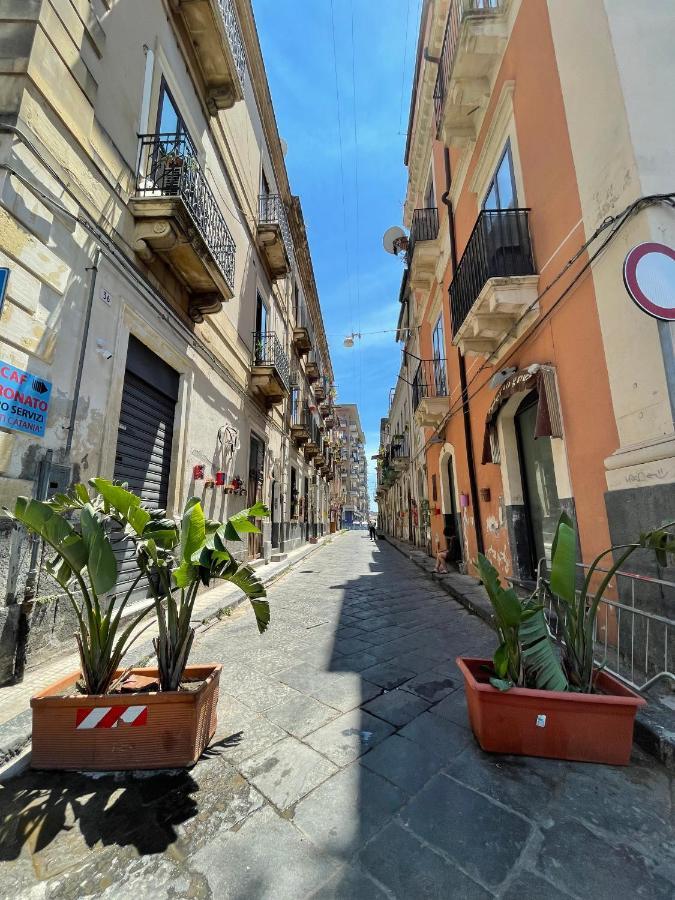 Gli Di Agata